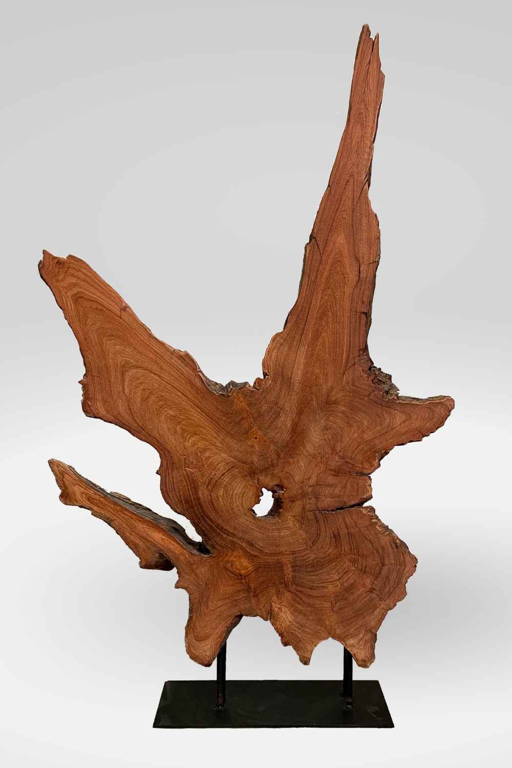 Sculpture Redwood