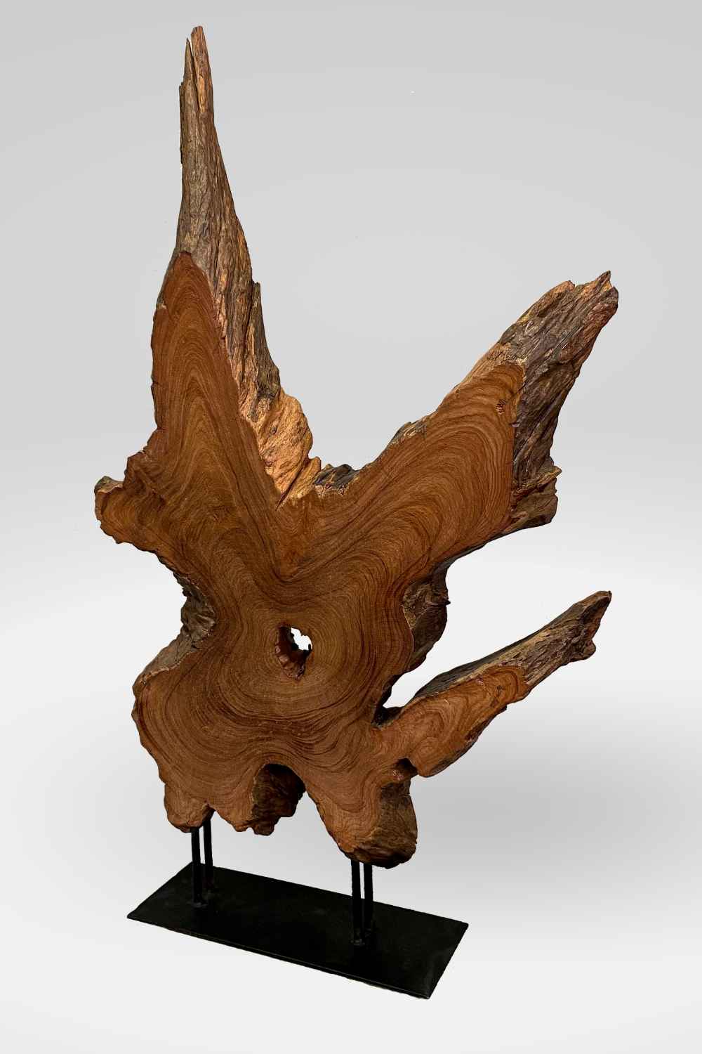 Sculpture Redwood