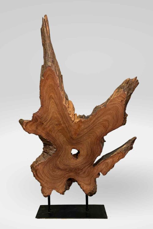 Sculpture Redwood